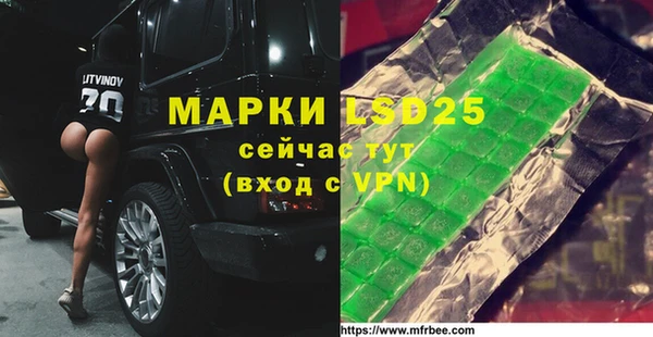 ГАЛЛЮЦИНОГЕННЫЕ ГРИБЫ Алзамай
