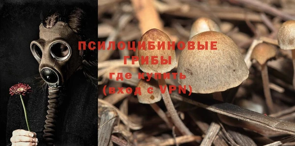 таблы Алексеевка